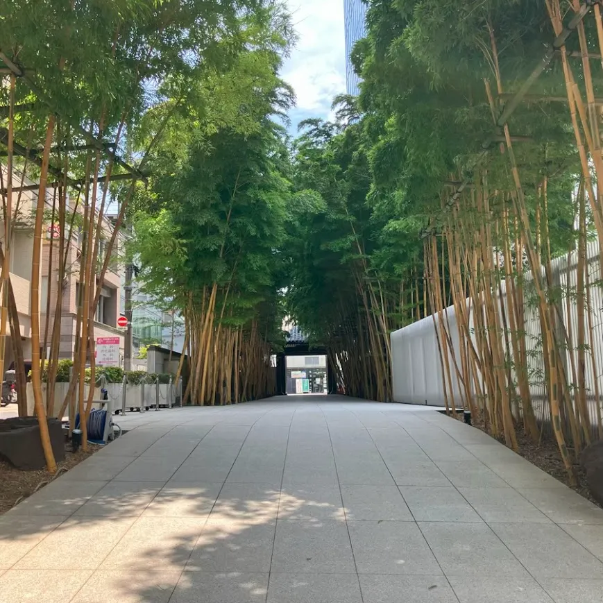 梅窓院　観音堂まで徒歩で行く場合の道順6