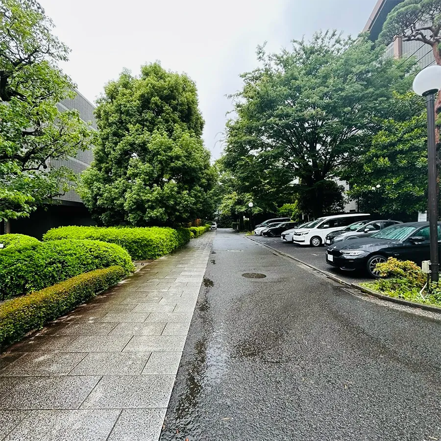 バス停留所から護国寺 桂昌殿までの歩き方5