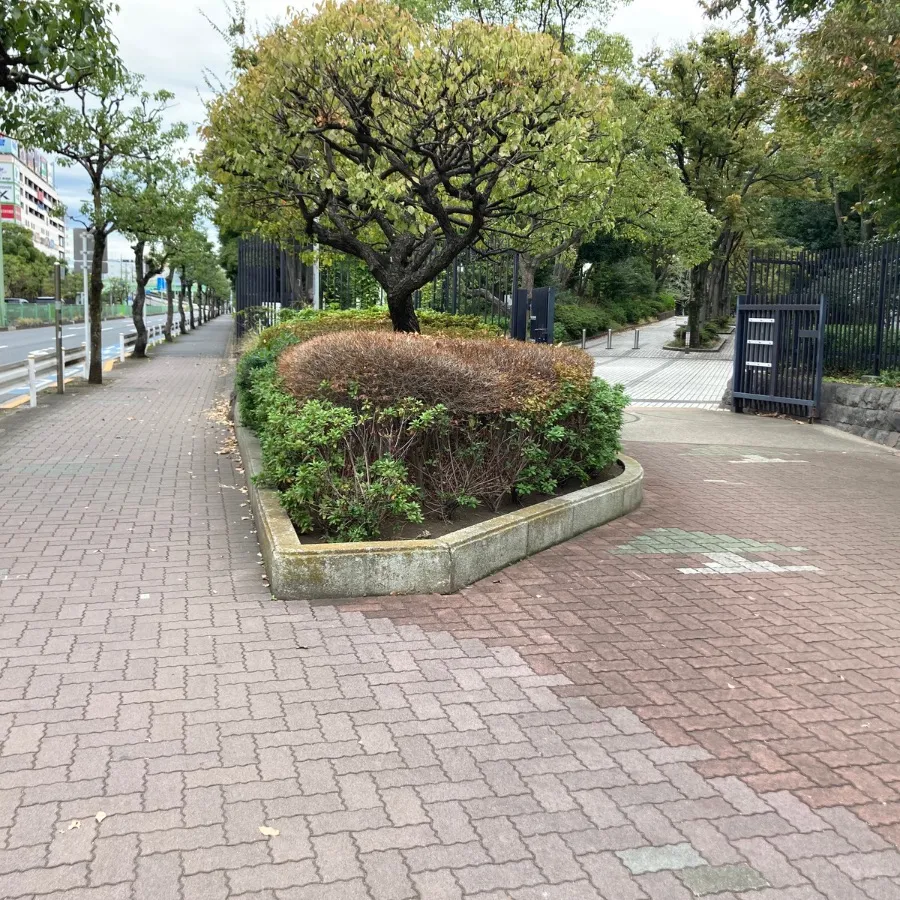 平和の森会館まで徒歩で行く場合の道順7