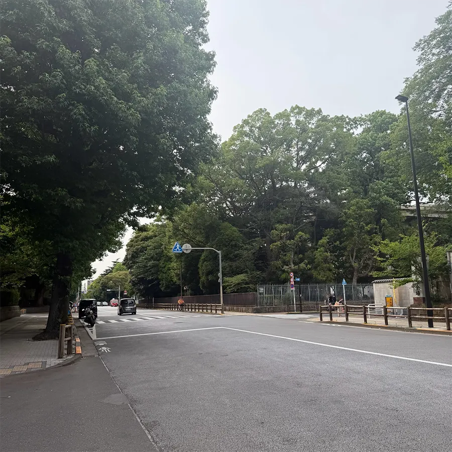 寛永寺 輪王殿の駐車場への入り方4