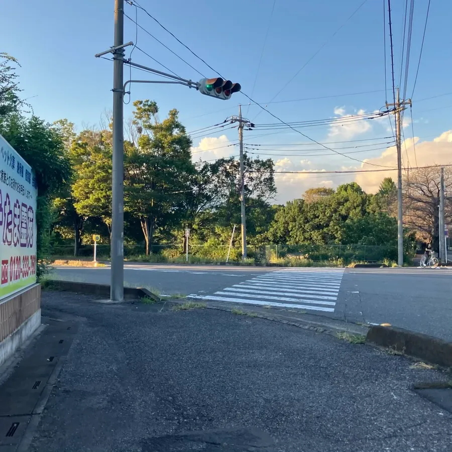 メモリアルトネまで徒歩で行く場合の道順6