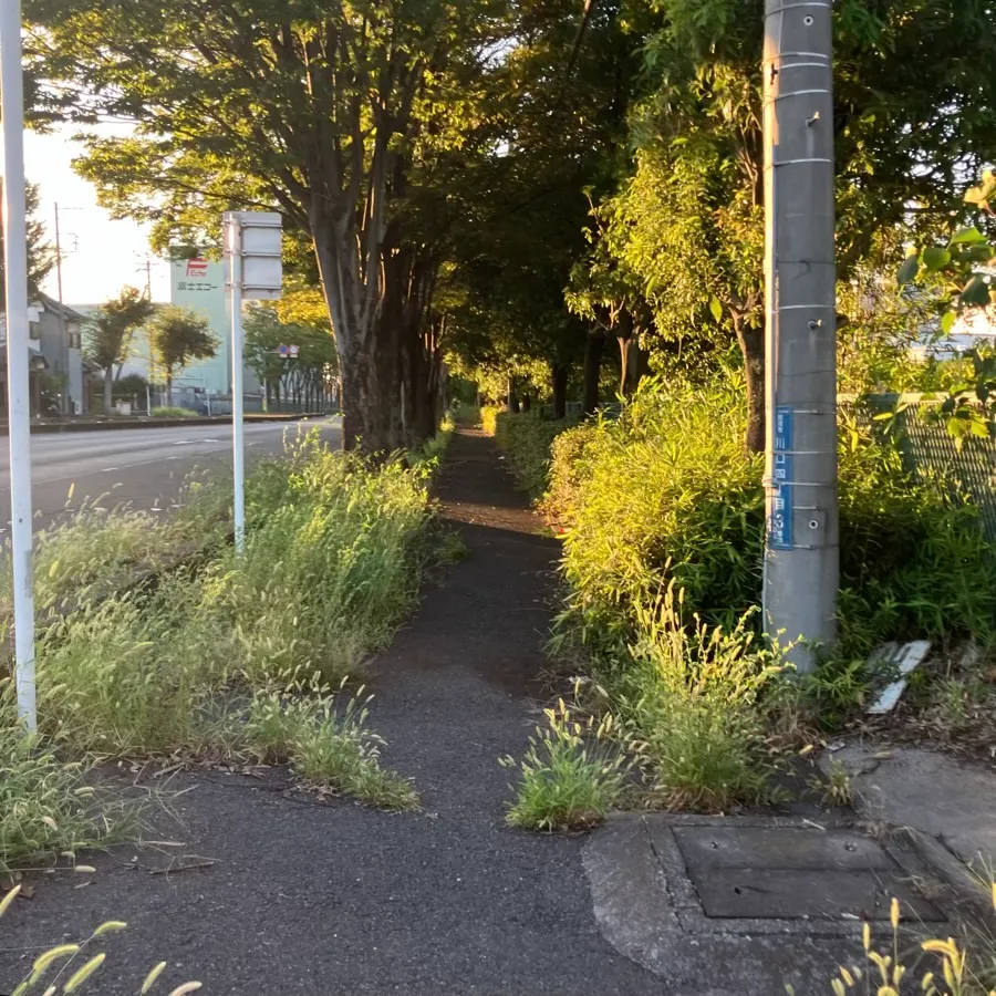 メモリアルトネまで徒歩で行く場合の道順7