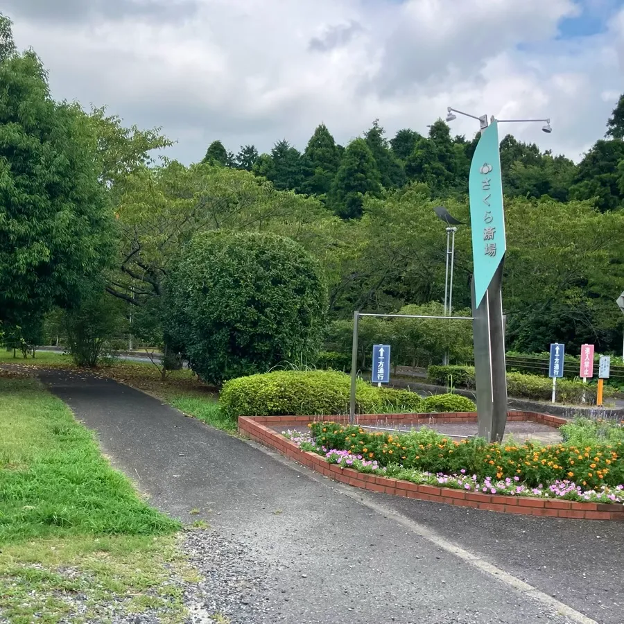 バス停留所からさくら斎場までの歩き方3