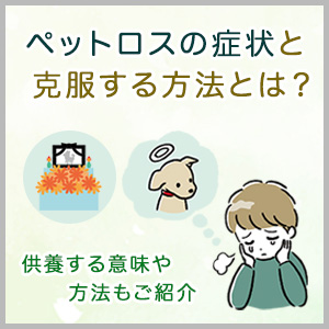 ペットロスの症状と克服する方法とは？供養する意味や方法もご紹介