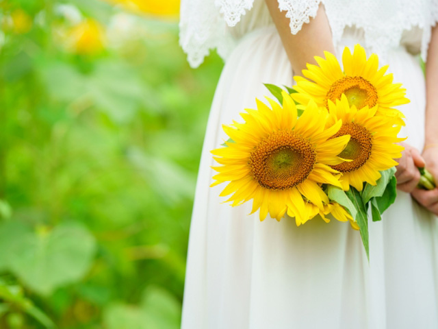 ひまわりの花言葉